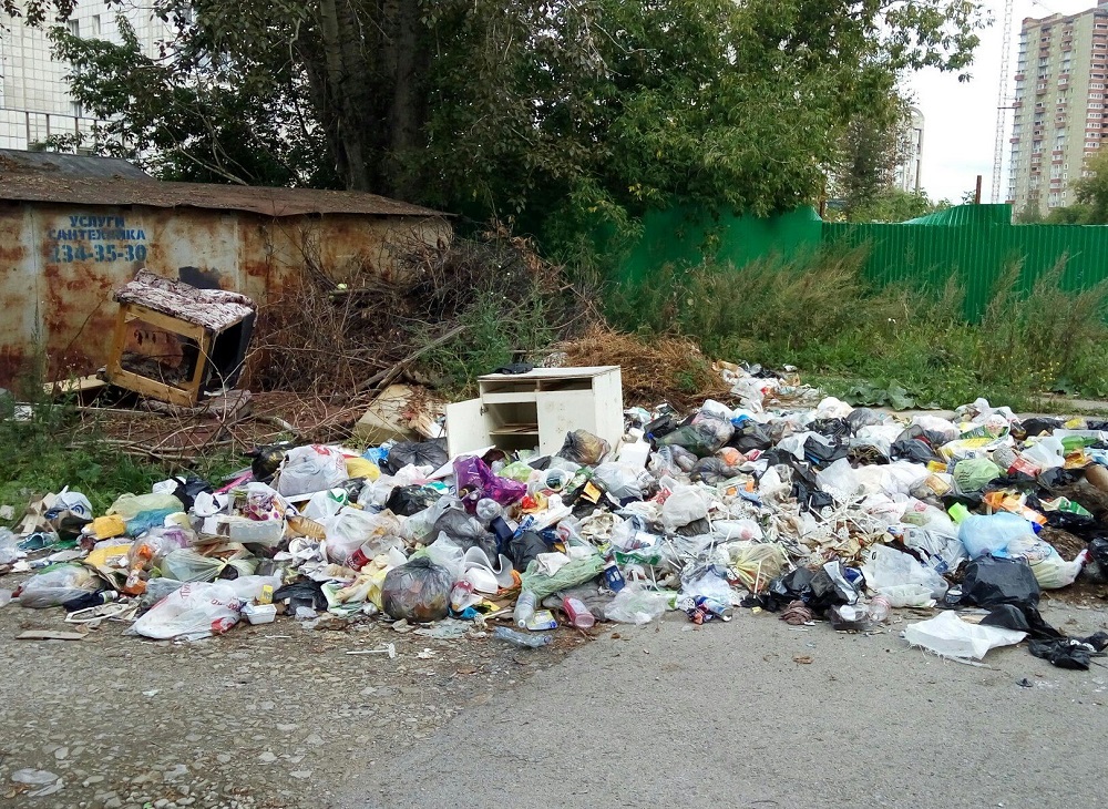 Жизнь в условиях карантина